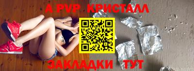 кокс Кингисепп