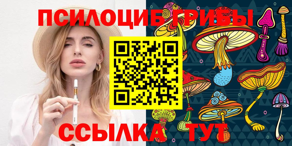 Псилоцибиновые грибы мицелий Темрюк