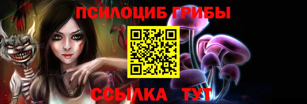 Псилоцибиновые грибы Psilocybine cubensis  Вход с VPN  Темрюк 